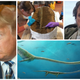 Imagen para el artículo titulado El Galaxy S3 de Donald Trump, espadas prehistóricas y revelaciones de Star Wars. Lo mejor de la semana